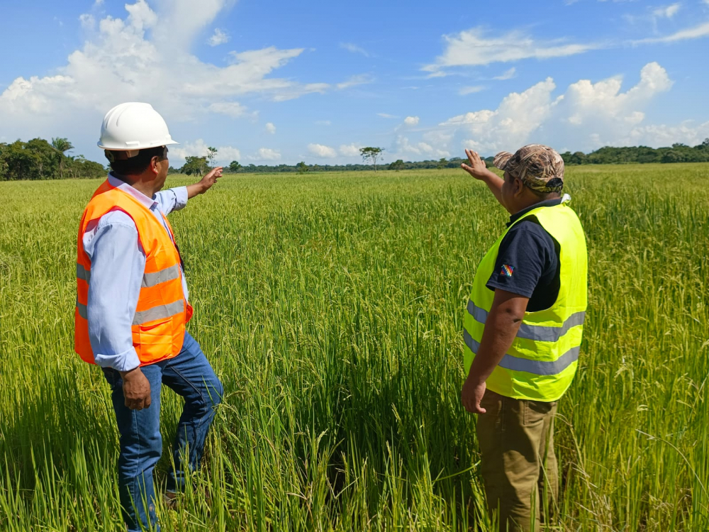 La empresa estratégica de abonos y fertilizantes  EEPAF implementa planta de agroinsumos en Beni