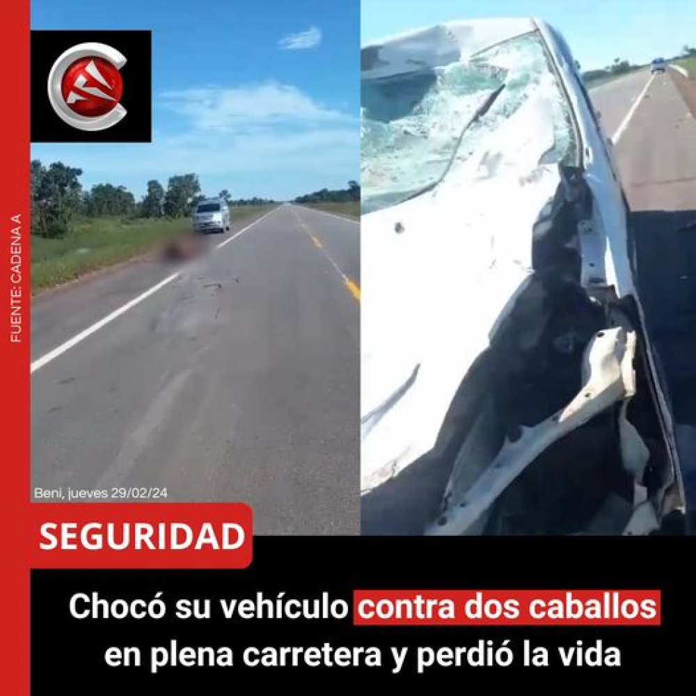 Trágico accidente: Conductor  fallece tras impactar con caballos