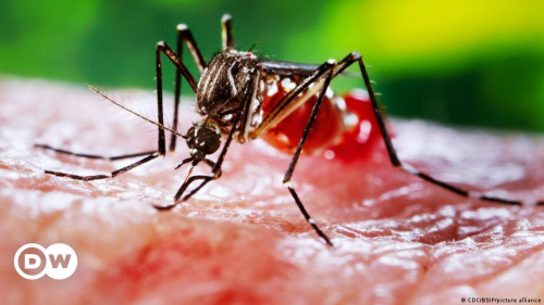 Comparación: Dengue disminuye  en relación al año pasado en Beni