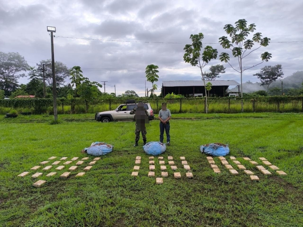 Descubren en un bus más de 66 kilos de marihuana camuflados en papa