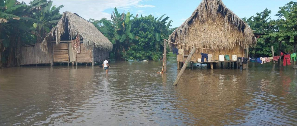 96 comunidades y 2.720 familias afectadas por desborde del río Ichilo en Puerto Villarroel