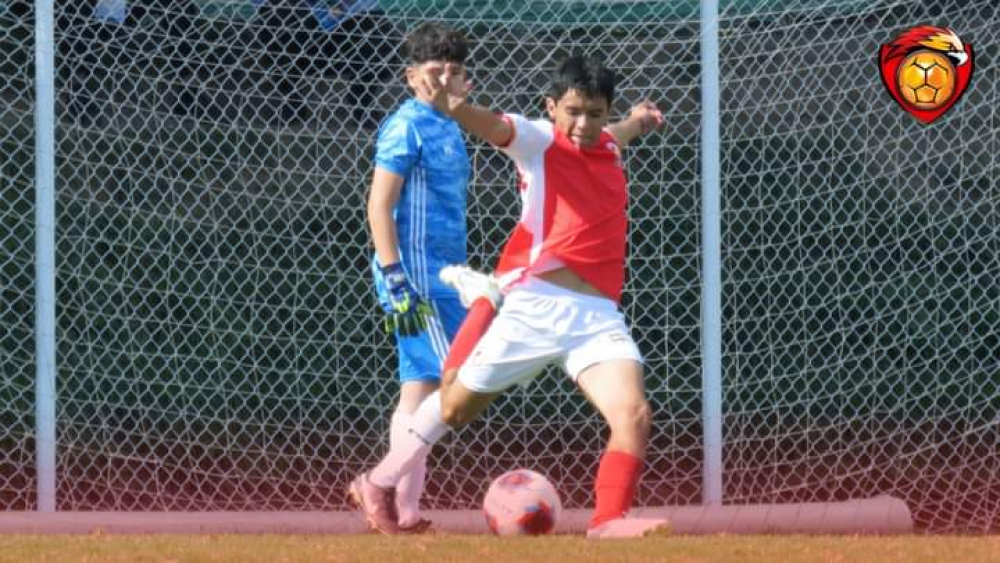 Halcones Dorados con las garras afiladas para la semifinal del torneo Conmebol