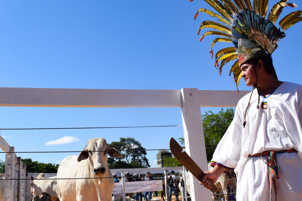 Fexpocebu 2024: Trinidad deslumbra con  exhibición de animales de alto valor genético