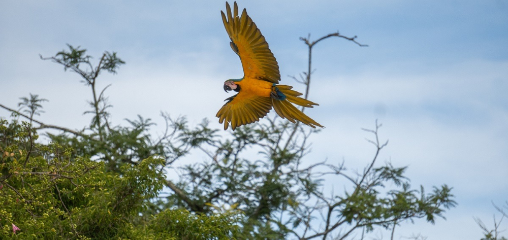 Trinidad entre las mejores: Impactantes resultados en el Reto Ciudad Naturaleza