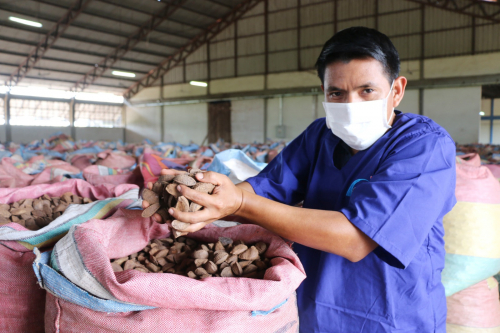 El 52% de los créditos productivos en Beni corresponde a los sectores de agricultura y ganadería