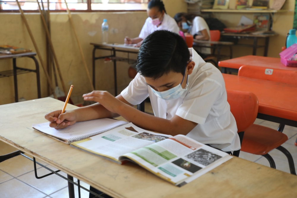 Calendario escolar  en su último tramo:  Educación en Beni  con avance favorable