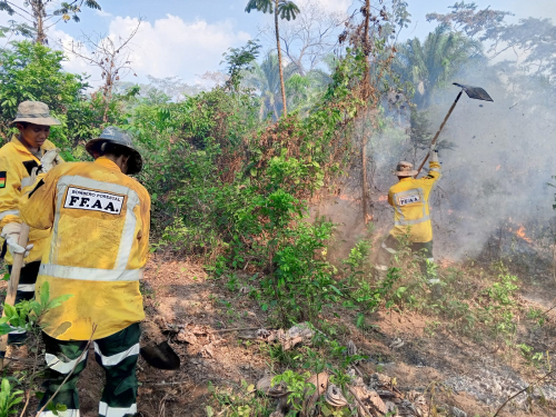 Guayaramerín: Militares logran  sofocar incendios  en la Isla Suárez