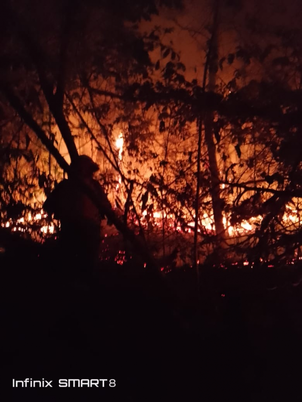 Incendios: UGR actúa rápidamente para  sofocar llamas en barrios vulnerables