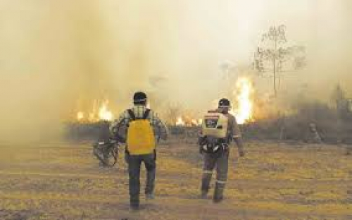 Incendios forestales en Bolivia suman  41, repartidos en cuatro departamentos