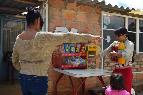 Productores piden incentivos para  reactivar la economía del Beni