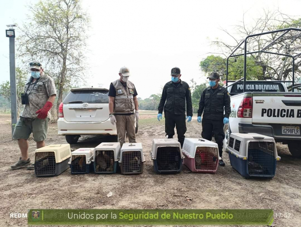 La Policía a través de POFOMA realiza exitosa liberación de fauna silvestre en la reserva ‘Chuchini’