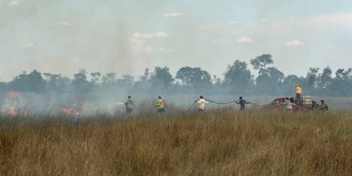 ABT dice que hará cumplir la pausa  ambiental, pese a amenazas de campesinos