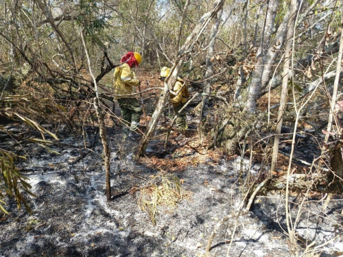 Demandas penales por incendios forestales  suben a 115, hay 66 personas identificadas