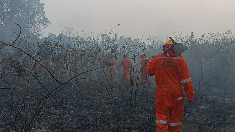 Incendio de gran  magnitud consume  8 hectáreas en  Villa Monasterio