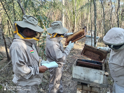 Inicia proceso de certificación de centros de  producción de miel en comunidades originarias