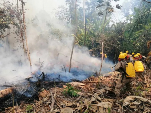 Incendios forestales que golpean a  tres departamentos se reducen a 20