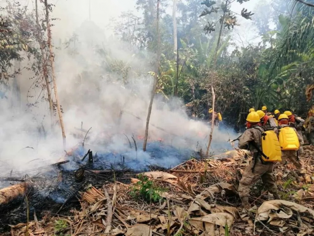 Incendios forestales que golpean a  tres departamentos se reducen a 20