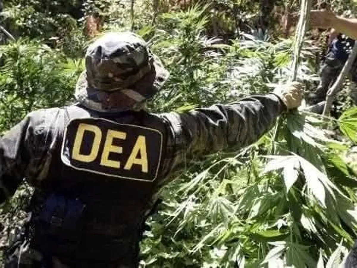 EL RETORNO DE LA DEA: 18 AÑOS DE RUPTURA, NUEVO MAPA ANTINARCÓTICOS