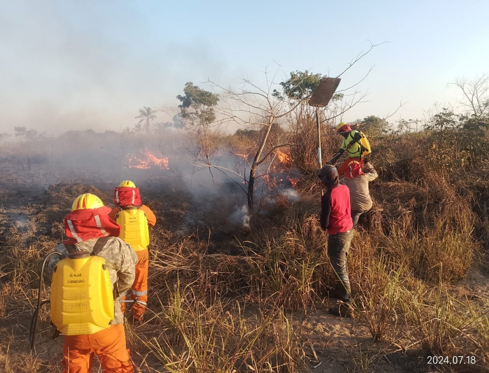 Bomberos combaten  incendios forestales en  22 municipios de Beni,  Pando y Santa Cruz