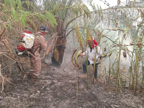 Lluvias apagaron el 70% de los incendios en  Santa Cruz y el 90% en Beni, según el Gobierno