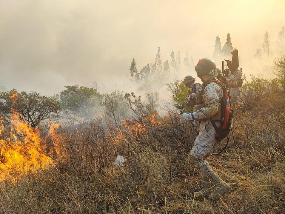 ABT activa 61  procesos penales  y 274 procesos  administrativos  por incendios