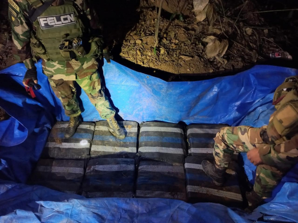 FELCN desmantela  pista clandestina y  secuestra más de  330 kilos de cocaína