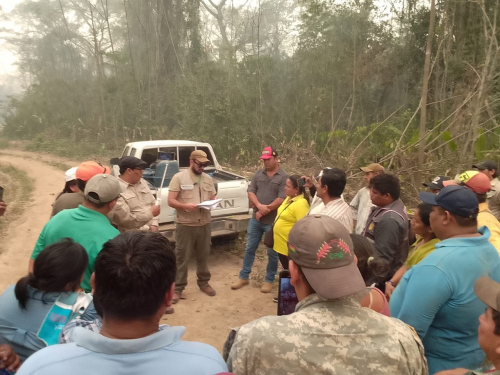 SAN JAVIER EVIDENCIA SAQUEO FORESTAL  Y EXIGE A LA ABT AUDITORÍA INMEDIATA