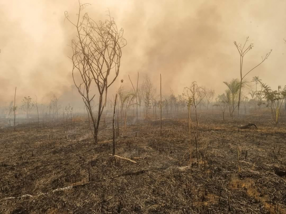 Viceministro: Hay  gente que provoca  incendios en Beni  y en Santa Cruz