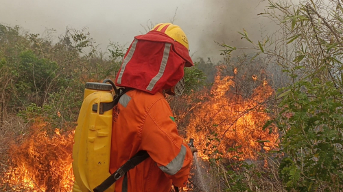 El ministro de Medio Ambiente cuestiona datos de la CAO e insiste que el agro es responsable de los incendios forestales