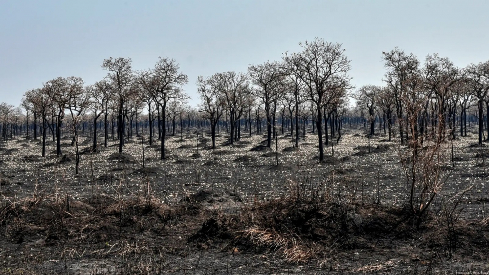 Senamhi advierte que  condiciones climáticas  favorecen el fuego