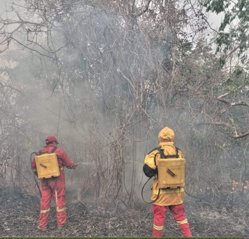 64 procesos penales  activados por quemas  ilegales mientras la  contaminación  ahoga al oriente