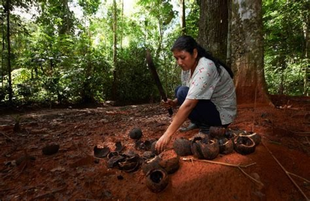 Sientan bases para ley laboral del zafrero