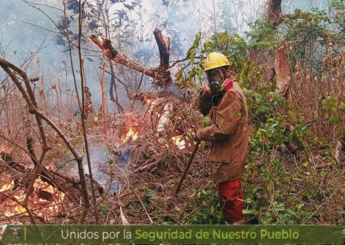 Reportan incendios  en 20 municipios de 3 departamentos