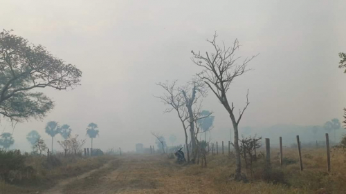 Apagan incendios en 4 áreas protegidas  y continúa el fuego activo en 3