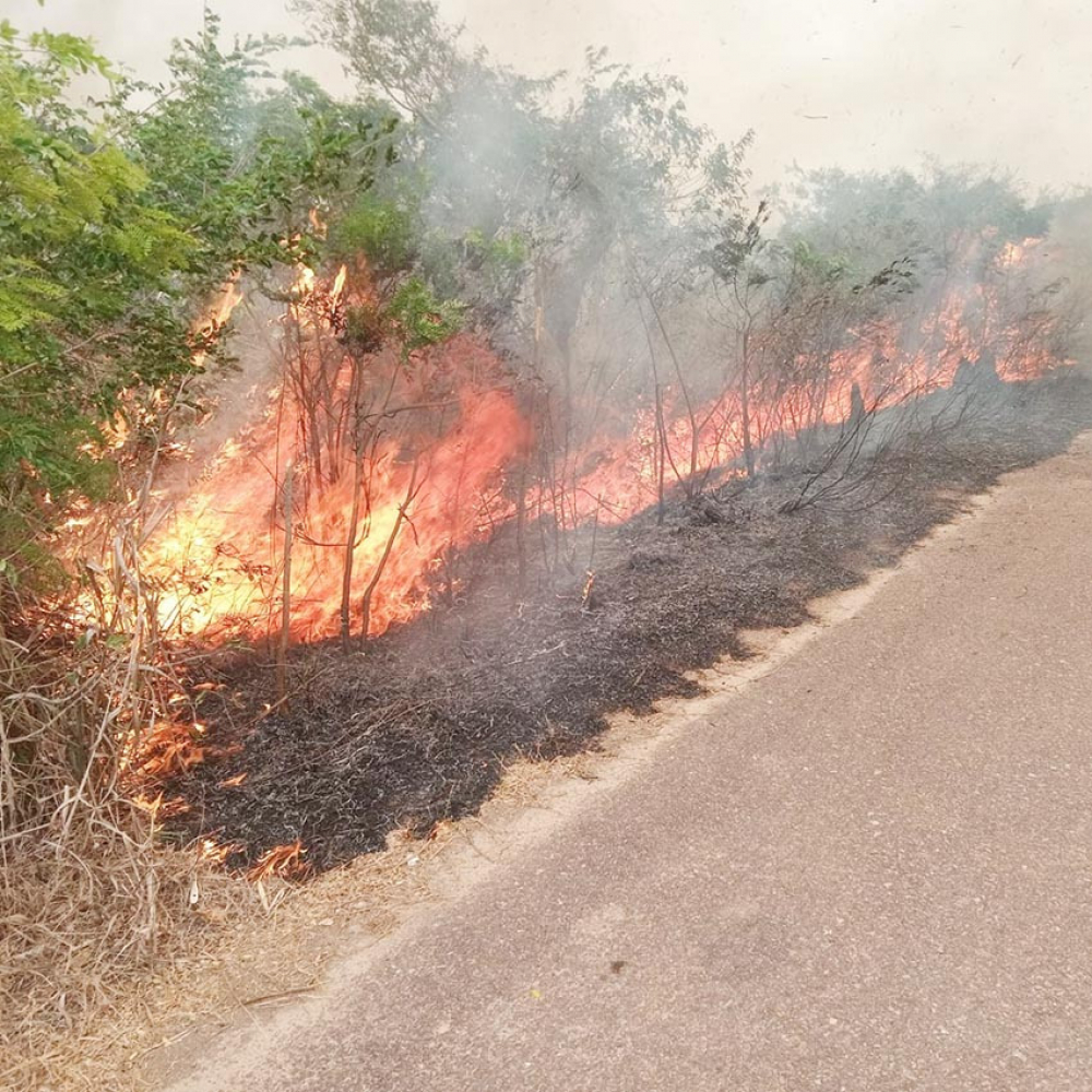 INRA sugiere alternativas para los productores, a fin de evitar los incendios