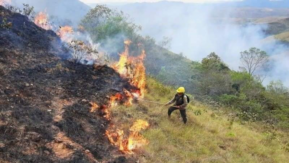 Comité Cívico de Beni  exige la anulación del  decreto que afecta al sector productivo