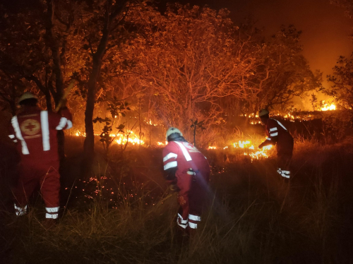 Apoyo de la Cruz Roja  a zonas afectadas  por incendios