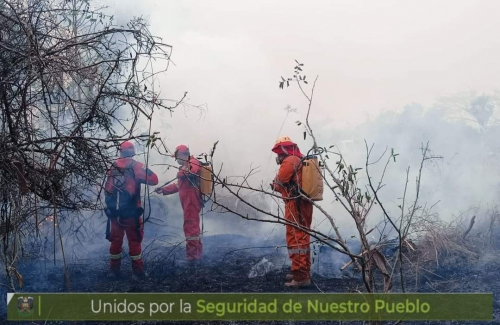 Incendio de magnitud  en la Laguna Suárez:  Bomberos de Tocopilla  logran contener el fuego