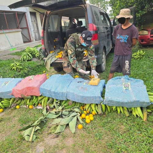 Detenido con 127 kilos  de marihuana: Fiscalía  investiga tráfico de  drogas en Yucumo